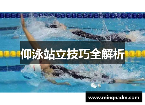 仰泳站立技巧全解析