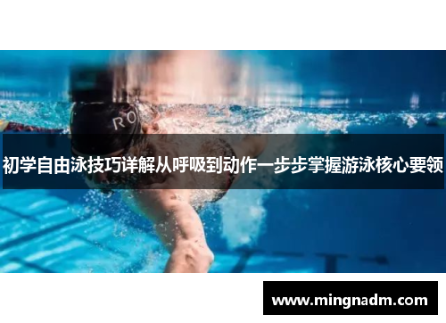 初学自由泳技巧详解从呼吸到动作一步步掌握游泳核心要领
