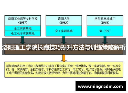 洛阳理工学院长跑技巧提升方法与训练策略解析