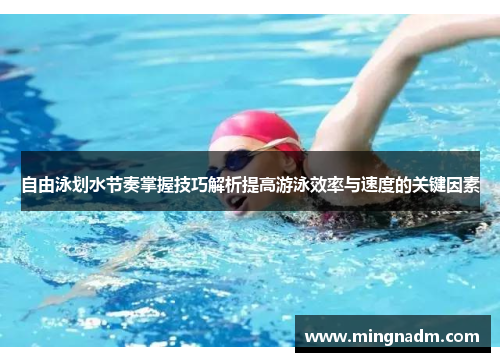 自由泳划水节奏掌握技巧解析提高游泳效率与速度的关键因素