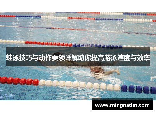蛙泳技巧与动作要领详解助你提高游泳速度与效率