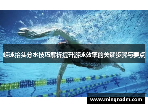 蛙泳抬头分水技巧解析提升游泳效率的关键步骤与要点