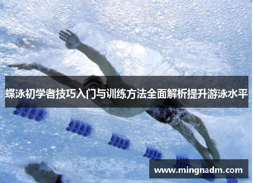 蝶泳初学者技巧入门与训练方法全面解析提升游泳水平
