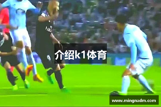 介绍k1体育